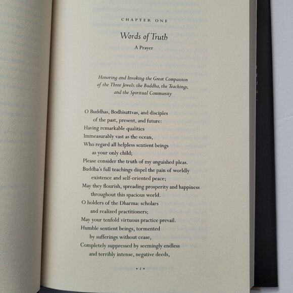 2005 The Essential Dalai Lama: His Important Teachings By Dalai Lama - Hardcover - Picture 5 of 8